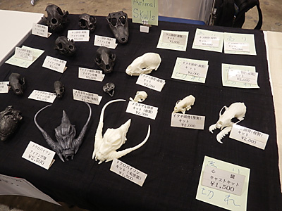 WF2014-winter-038.jpg