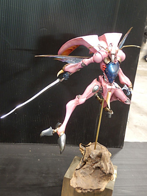 WF2014-winter-083.jpg