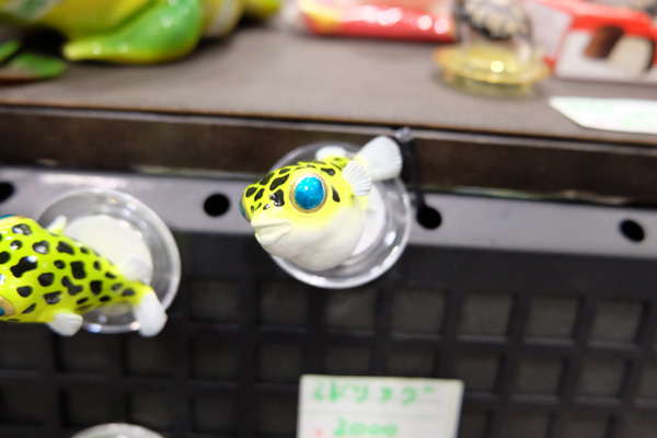 WF2015-summer-049.jpg