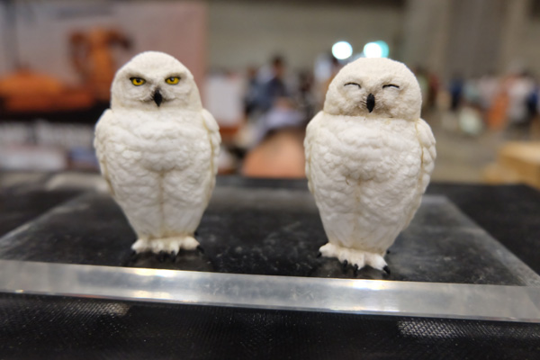 WF2015-summer-055.jpg