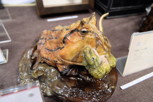 WF2015-summer-136.jpg