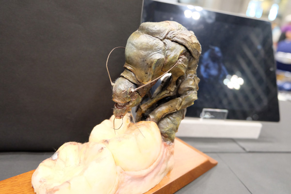 WF2015-summer-205.jpg