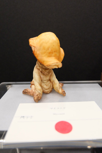 WF2015-summer-208.jpg