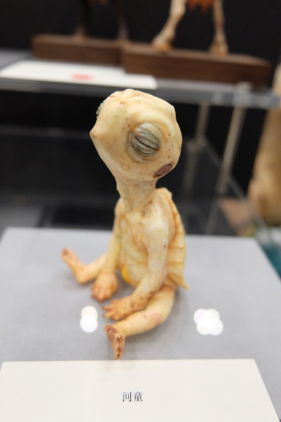 WF2015-summer-211.jpg