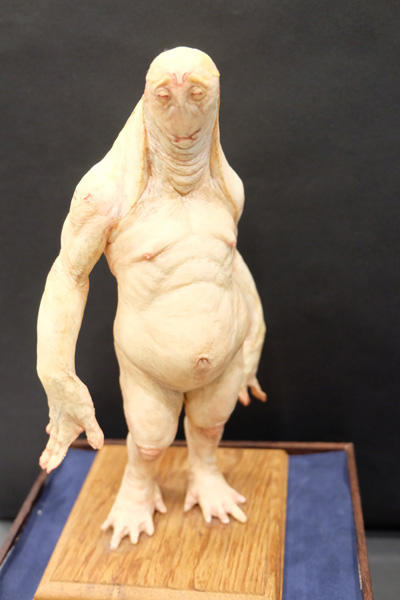 WF2015-summer-212.jpg