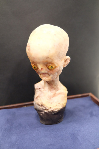 WF2015-summer-213.jpg