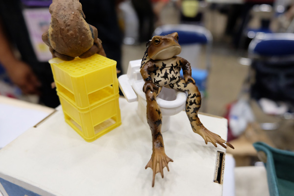 WF2015-summer-229.jpg