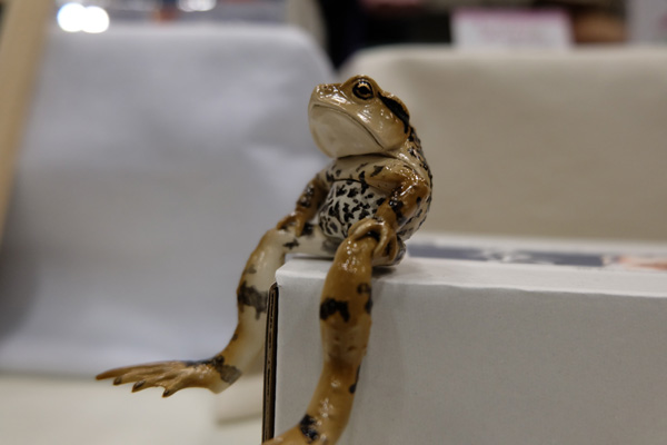 WF2015-summer-232.jpg