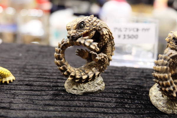 WF2015-summer-302.jpg