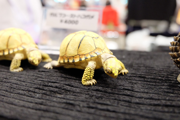 WF2015-summer-303.jpg