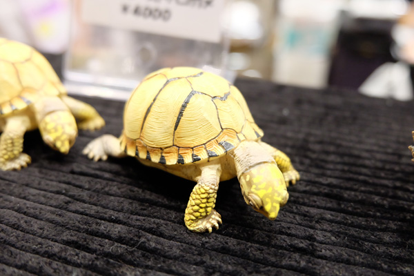 WF2015-summer-304.jpg