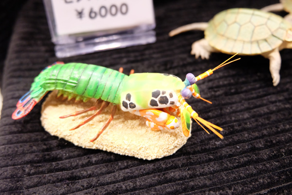 WF2015-summer-307.jpg