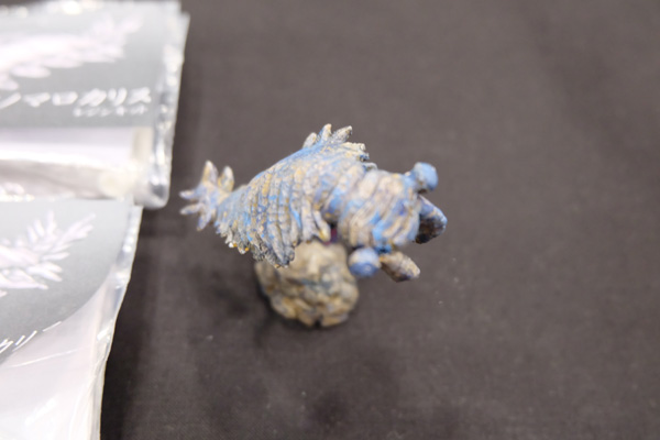 WF2015-summer-343.jpg