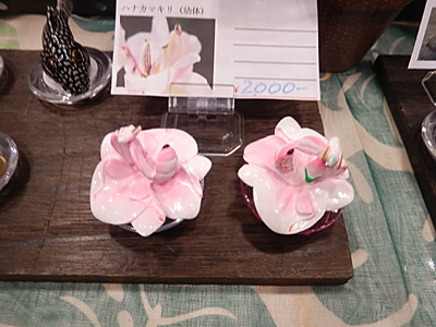 WF2015-winter-147.jpg