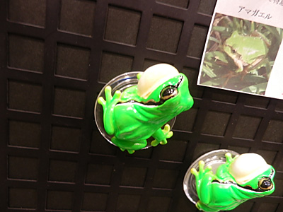 WF2015-winter-149.jpg