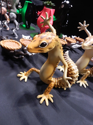WF2015-winter-219.jpg