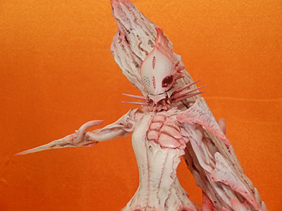 WF2015-winter-228.jpg