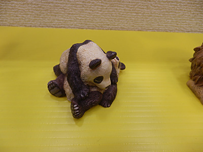 WF2015-winter-236.jpg