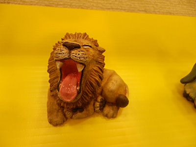 WF2015-winter-237.jpg