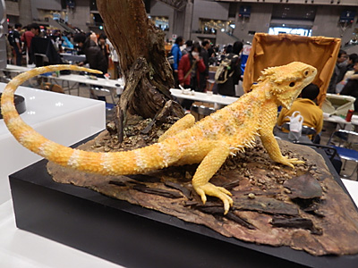 WF2015-winter-261.jpg
