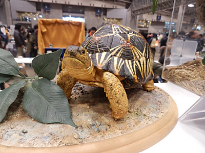 WF2015-winter-262.jpg