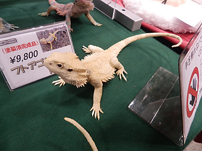 WF2015-winter-264.jpg