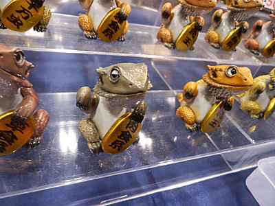 WF2015-winter-286.jpg