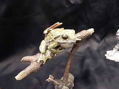 WF2015-winter-308.jpg