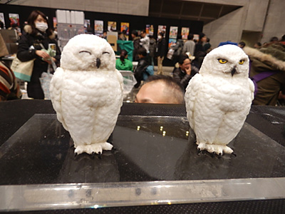 WF2015-winter-321.jpg