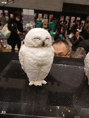 WF2015-winter-322.jpg