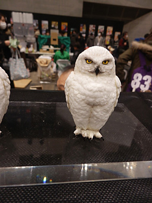 WF2015-winter-323.jpg