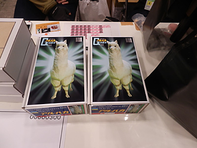 WF2015-winter-328.jpg