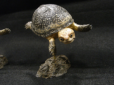 WF2015-winter-348.jpg