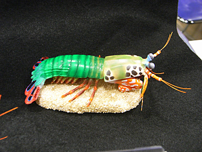 WF2015-winter-350.jpg