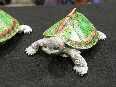 WF2015-winter-352.jpg