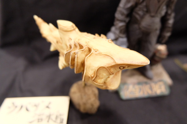 WF2016-summer-056.jpg