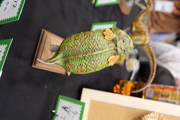 WF2016-summer-068.jpg