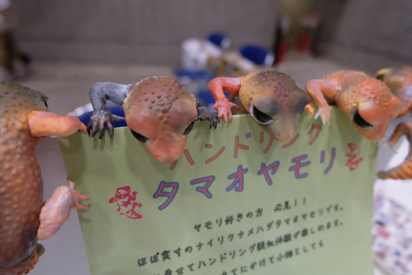 WF2016-summer-098.jpg