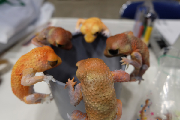 WF2016-summer-099.jpg