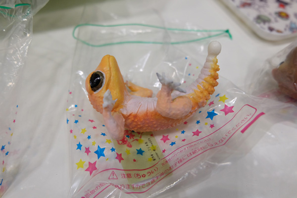 WF2016-summer-100.jpg