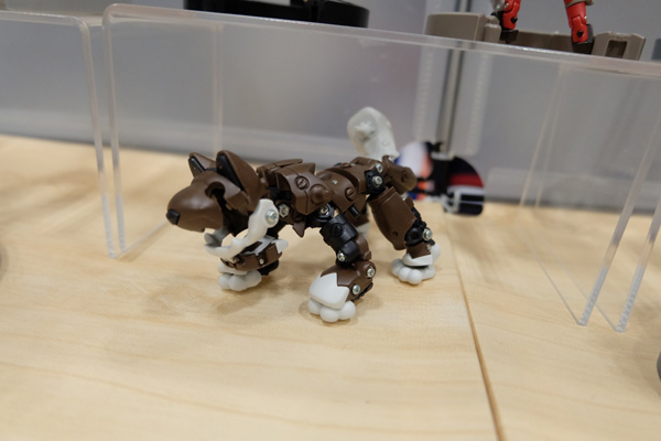 WF2016-summer-126.jpg