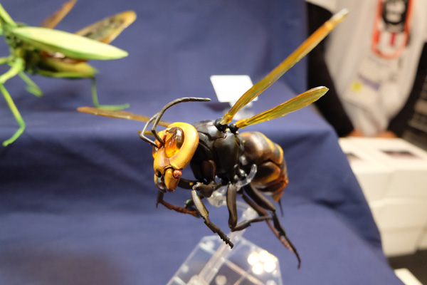 WF2016-summer-235.jpg