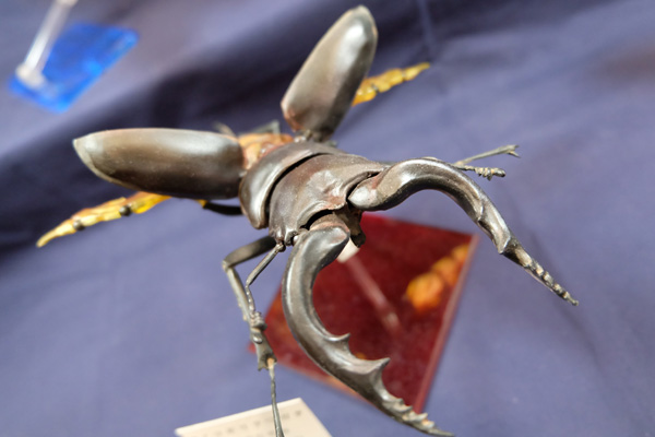 WF2016-summer-236.jpg