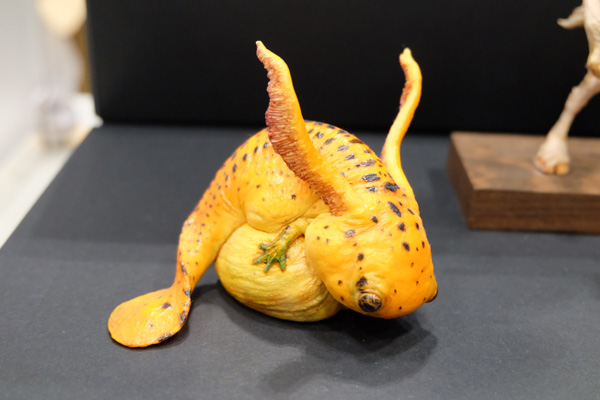 WF2016-summer-248.jpg