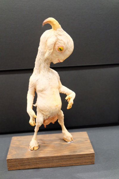 WF2016-summer-249.jpg