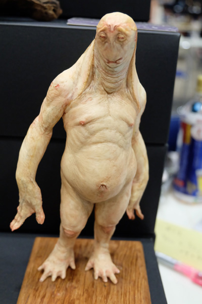 WF2016-summer-251.jpg