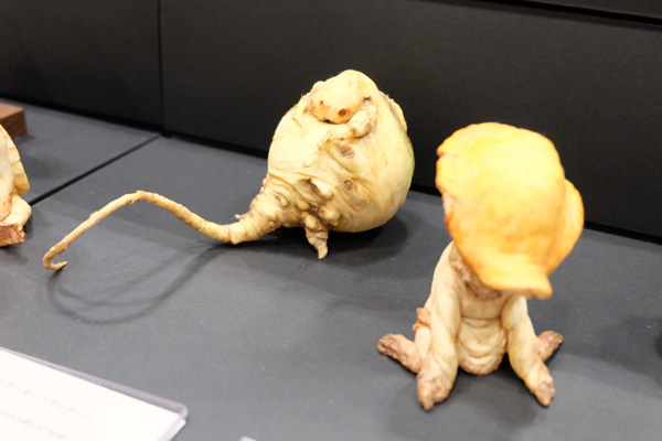 WF2016-summer-254.jpg