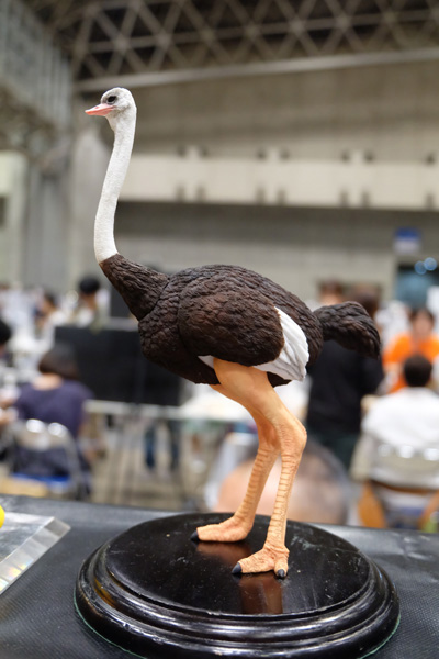 WF2016-summer-263.jpg