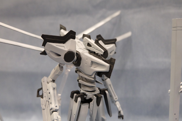 WF2016-summer-290.jpg
