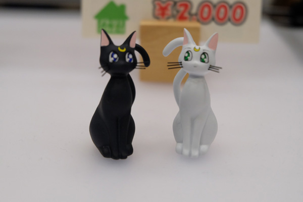 WF2016-summer-296.jpg